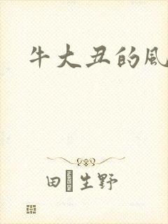 牛大丑的风流记