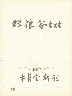 群狼谷txt