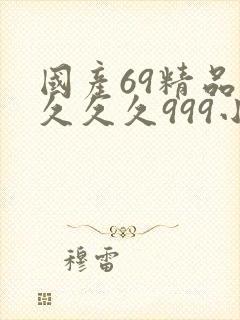 国产69精品久久久久999小说