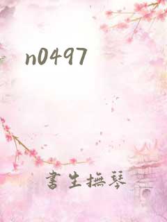 n0497