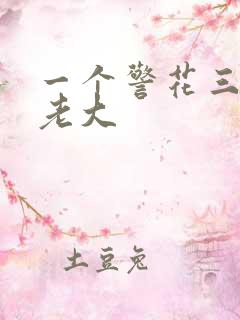 一个警花三个黑老大