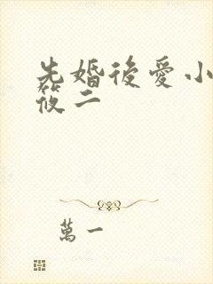 先婚后爱小说梦筱二