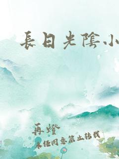 长日光阴小说