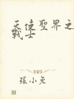 天使圣界之神之战士