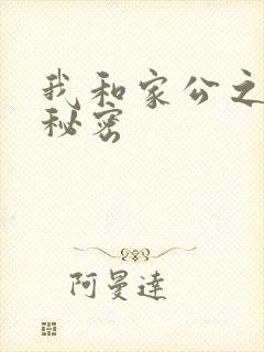 我和家公之间的秘密