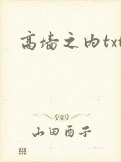 高墙之内txt