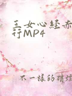 玉女心经赤裸修行MP4