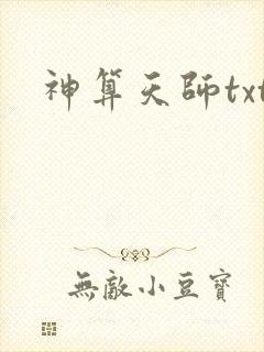 神算天师txt