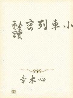 秘密列车小说阅读