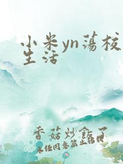 小米yn荡校园生活