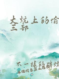 大炕上的偷乱第三部