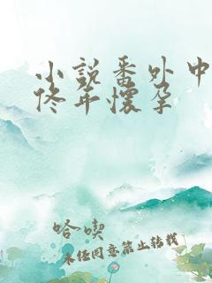 小说番外中结局佟年怀孕