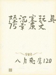 陆沉塞玩具高速75章原文