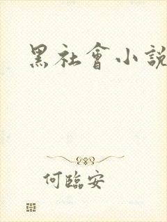 黑社会小说下载