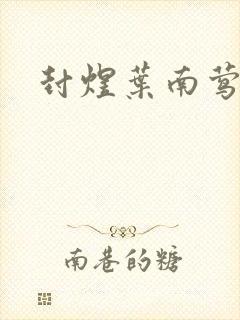 封煜叶南莺小说