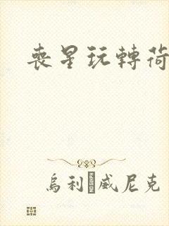 丧星玩转荷里活