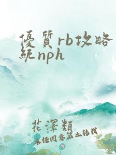 优质rb攻略系统nph