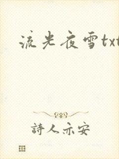 流光夜雪txt