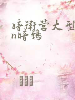 暗卫营大型hpn暗鸦