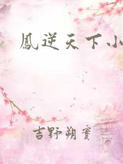 凤逆天下小说