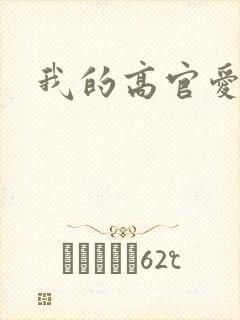 我的高官爱人