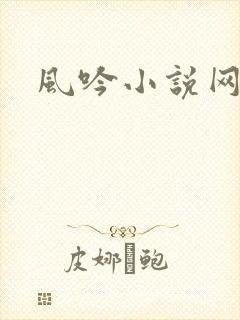 风吟小说网