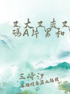 又大又爽又黄无码A片男和男