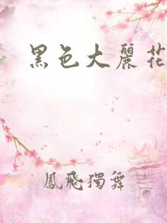 黑色大丽花图片