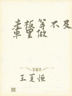 老板等不及了在车里做