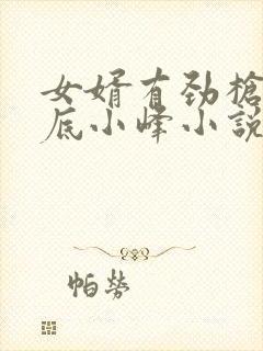 女婿有劲枪枪到底小峰小说