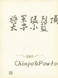 将军猛烈顶弄h太子小蓝