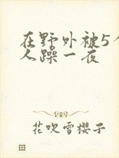在野外被5个男人躁一夜