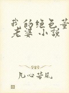 我的绝色董事长老婆 小说