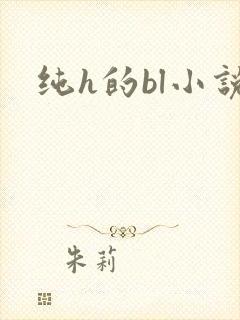 纯h的bl小说