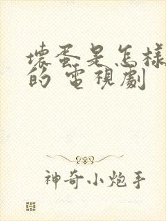 坏蛋是怎样炼成的 电视剧