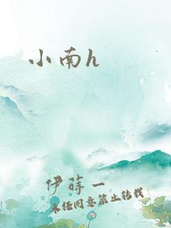 小南h