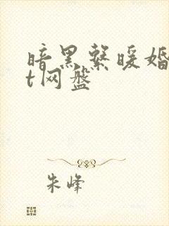 暗黑系暖婚txt网盘