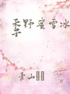 禾野蜜雪冰城本子