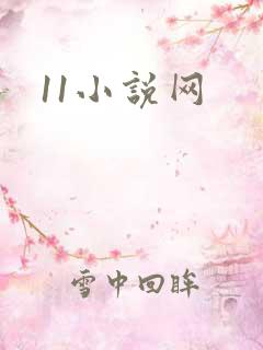 11小说网