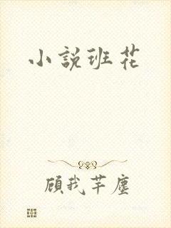 小说班花