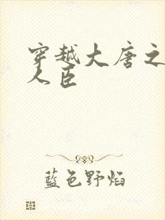 穿越大唐之位极人臣