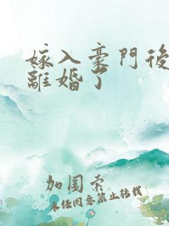 嫁入豪门后我又离婚了