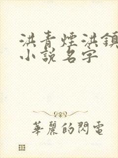 洪青烟洪镇国的小说名字