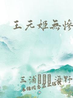 王元姬无惨后篇
