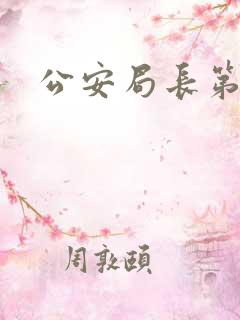 公安局长第四部