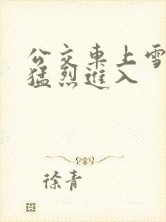 公交车上雪柔被猛烈进入