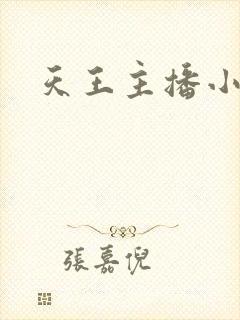 天王主播小说