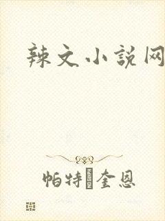 辣文小说网
