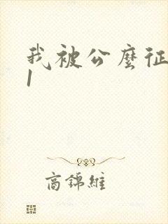 我被公么征服了1