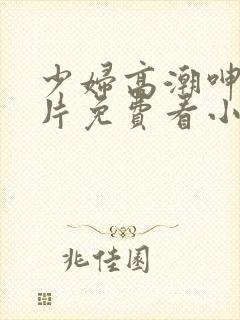 少妇高潮呻吟A片免费看小说